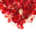 heart roses