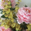 DSCF8656