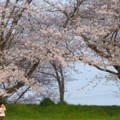 Japan... japan