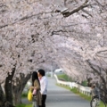 Japan... japan