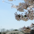 Japan... japan