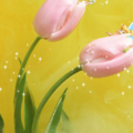 background 5