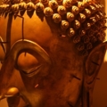 20100203210515 img 6616