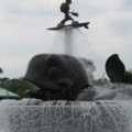 IMG 2656