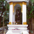 Photo 0216