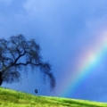 rainbow over a hill 1761