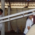 IMGP2326