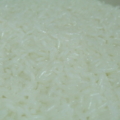 DSCF0395