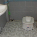 ห้องน้ำที่สะอาด กว้างขวาง สะดวกสบาย