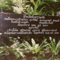 p008