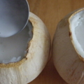 DSCF0459