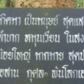 SNV35742