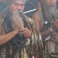 IMG 0721