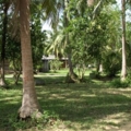 P5084766