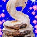 0250