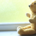 LonelyBear