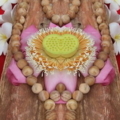 DSCF49231