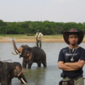 ท่าตูม สุรินทร์