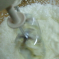 照片 236