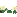 barbfwhiteflowers