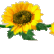 di8