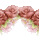 pinkbar