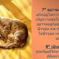 artsmen dot net ans2746 92449244