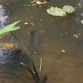 IMG 0355 1