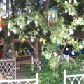 7 015 resize
