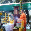 P1010030 resize