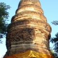 P1010042 resize