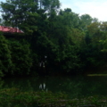 DSCF7776 resize