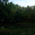 DSCF7777 resize