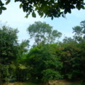 DSCF7795 resize
