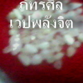 IMG0061A