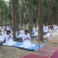 IMG 1511 resize