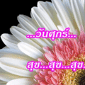 สุข