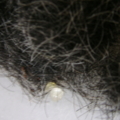 SSA55235