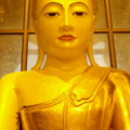 DSC03666sn