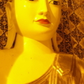 DSC03669sn