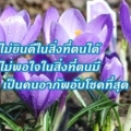 ธรรม8