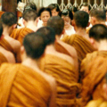 หลวงตามหาบัว2
