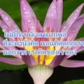 สดชื่น