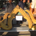 IMG 0241 resize