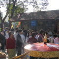 IMG 0278 resize