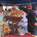 IMG 0283 resize