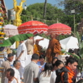 IMG 0353 resize