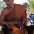 IMG 0264 resize