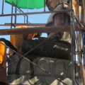 IMG 0397 resize