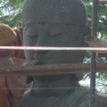 IMG 0441 resize